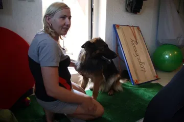 Następne zdjęcie