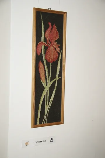 Następne zdjęcie