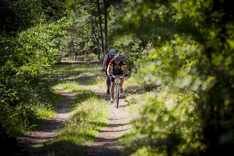 Wyniki Poland Bike w Jasienicy (zdjęcia)