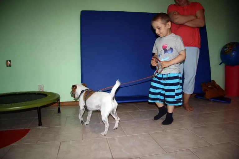 Fundacja "Dzień Dobry" pomaga dzieciom (zdjęcia)
