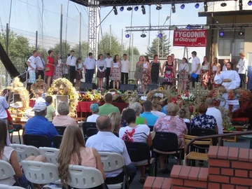 Poprzednie zdjęcie