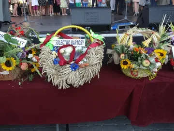 Poprzednie zdjęcie