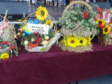 Następne zdjęcie