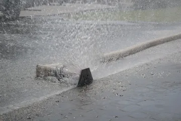 Następne zdjęcie