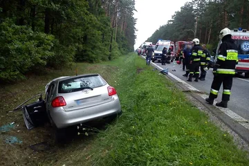 Następne zdjęcie