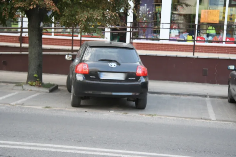 Mistrz parkowania przy ul. 3 Maja (zdjęcia)