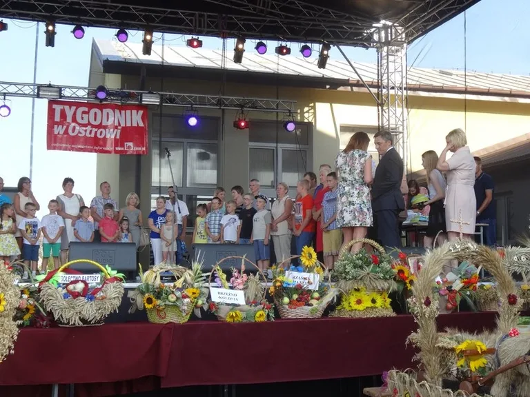 Dożynki w Wąsewie (zdjęcia)
