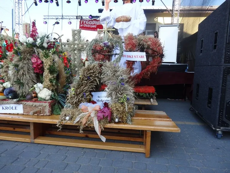 Dożynki w Wąsewie (zdjęcia)