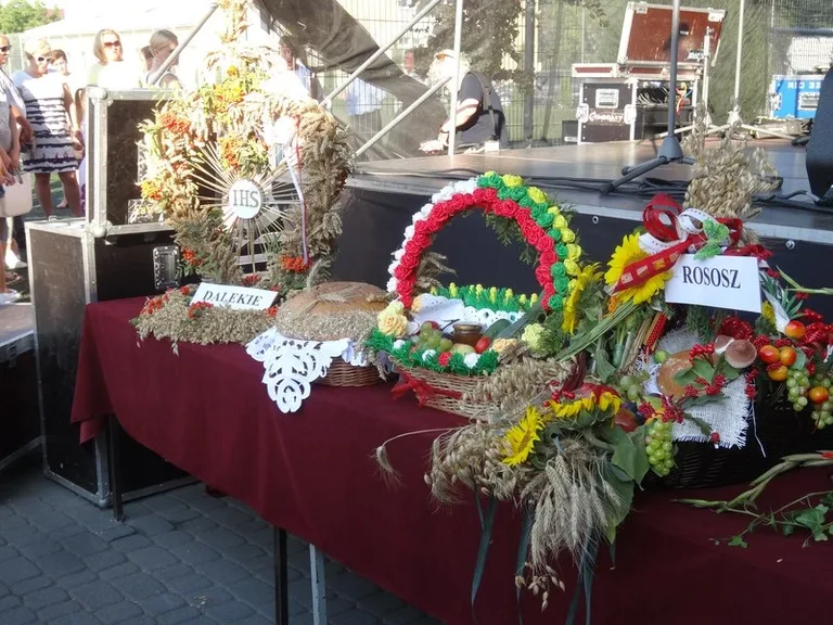 Dożynki w Wąsewie (zdjęcia)