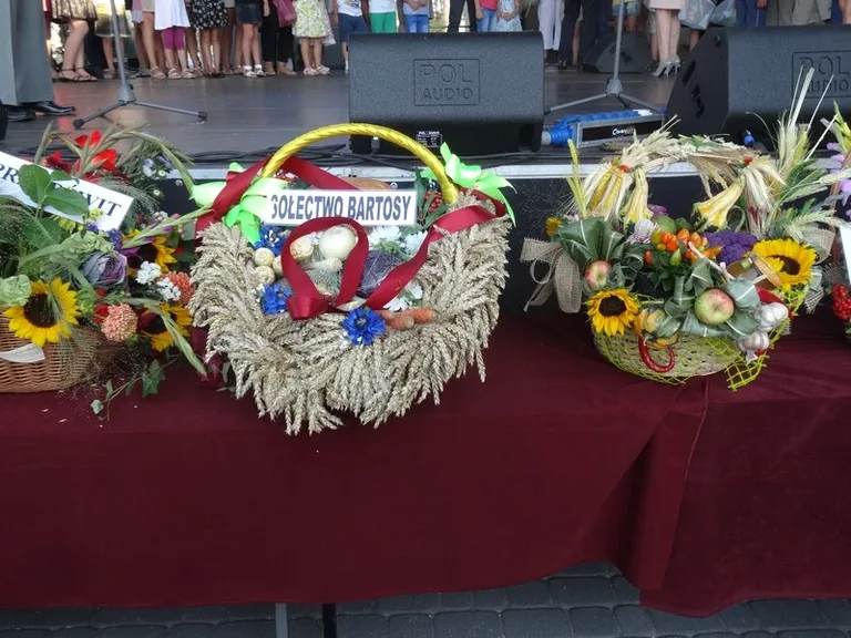 Dożynki w Wąsewie (zdjęcia)