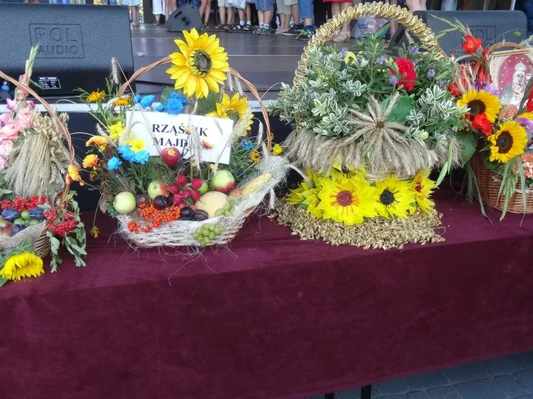 Dożynki w Wąsewie (zdjęcia)