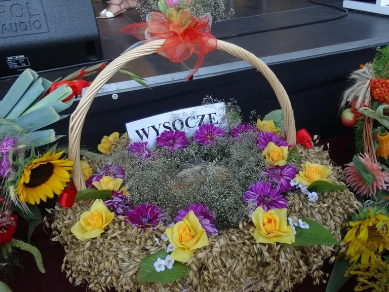 Dożynki w Wąsewie (zdjęcia)