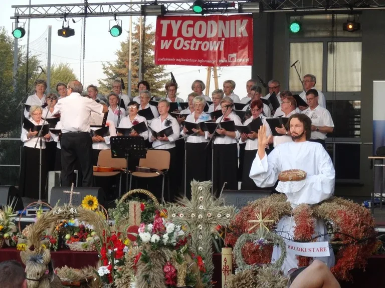 Dożynki w Wąsewie (zdjęcia)
