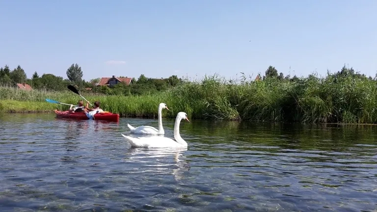 Ostrowscy wolontariusze na spływie kajakowym