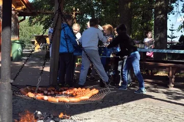 Poprzednie zdjęcie