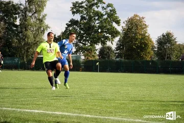 Następne zdjęcie