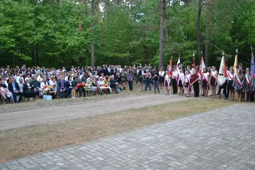 Następne zdjęcie