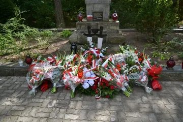 Następne zdjęcie