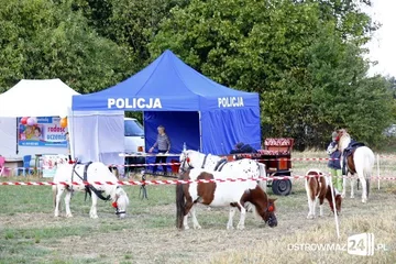 Następne zdjęcie