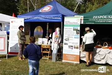 Następne zdjęcie