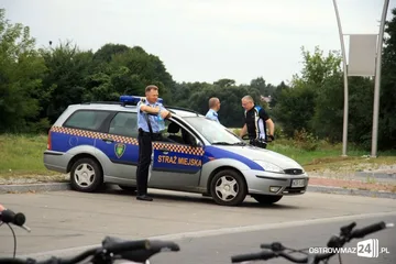 Następne zdjęcie