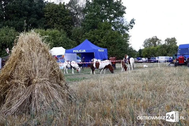 Trwają dożynki gminne w Nieskórzu (nowe zdjęcia)