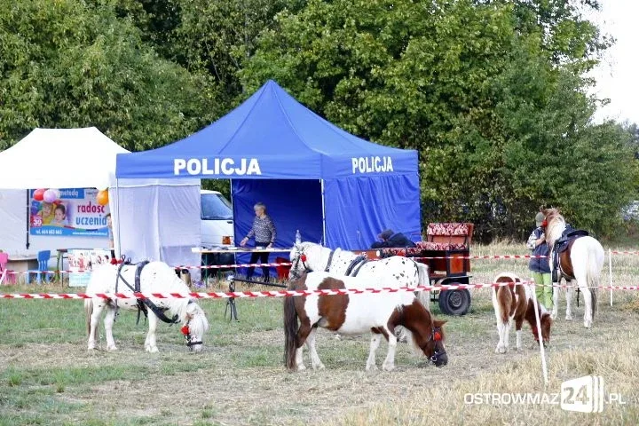 Trwają dożynki gminne w Nieskórzu (nowe zdjęcia)