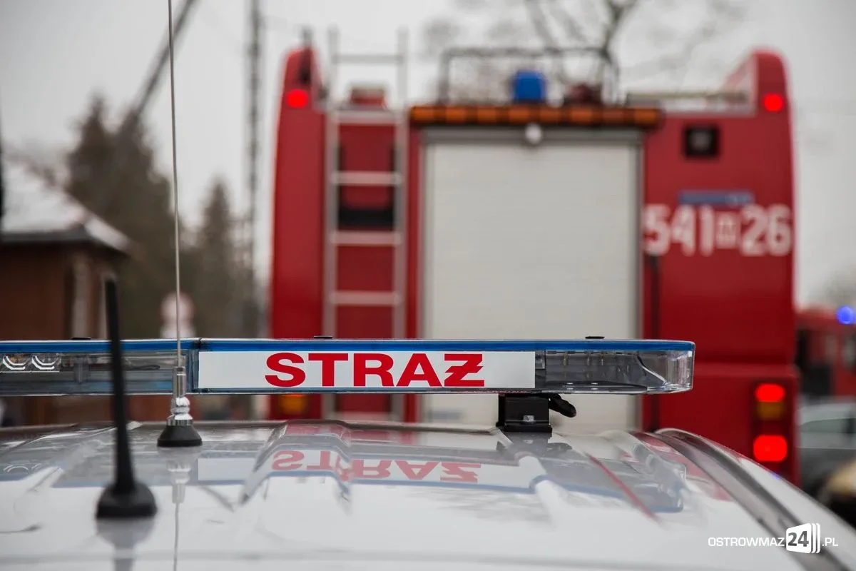 Pożar szkoły. Ponad 500 ewakuowanych (zdjęcia)
