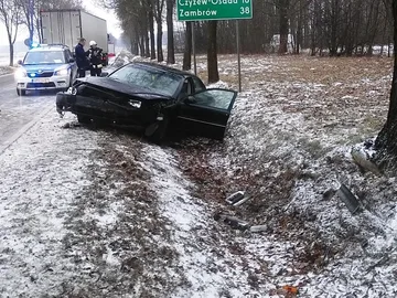 Volvo wylądowało w rowie (zdjęcia)