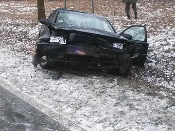 Volvo wylądowało w rowie (zdjęcia)