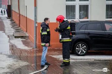 Następne zdjęcie