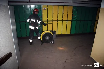 Poprzednie zdjęcie