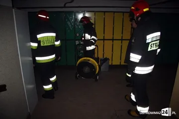 Następne zdjęcie