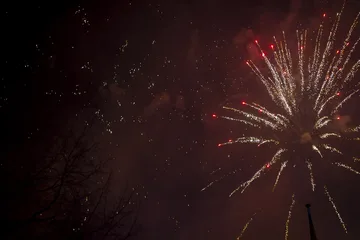 Poprzednie zdjęcie