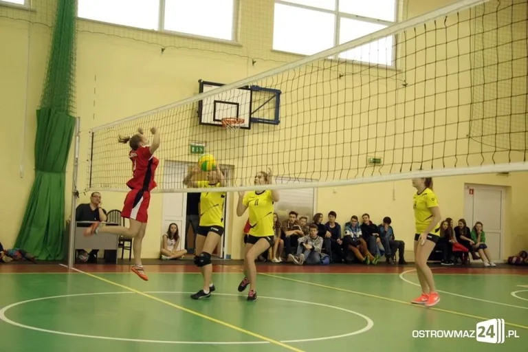 Miejska liga siatkówki dziewcząt (zdjęcia)