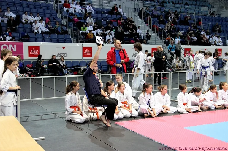 Pięć medali na ostatnim turnieju w 2015 (zdjęcia)