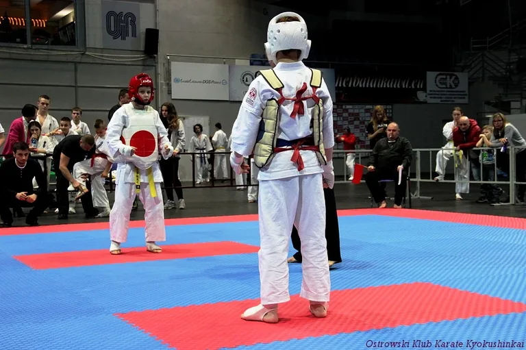 Pięć medali na ostatnim turnieju w 2015 (zdjęcia)
