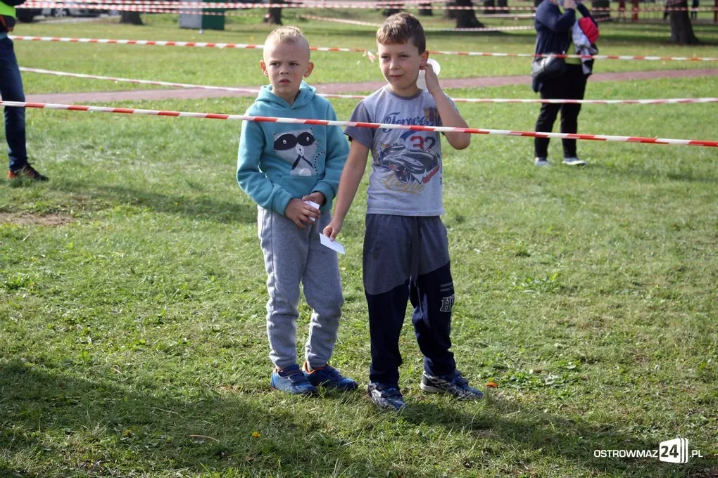Mistrzostwa w biegach przełajowych (zdjęcia)