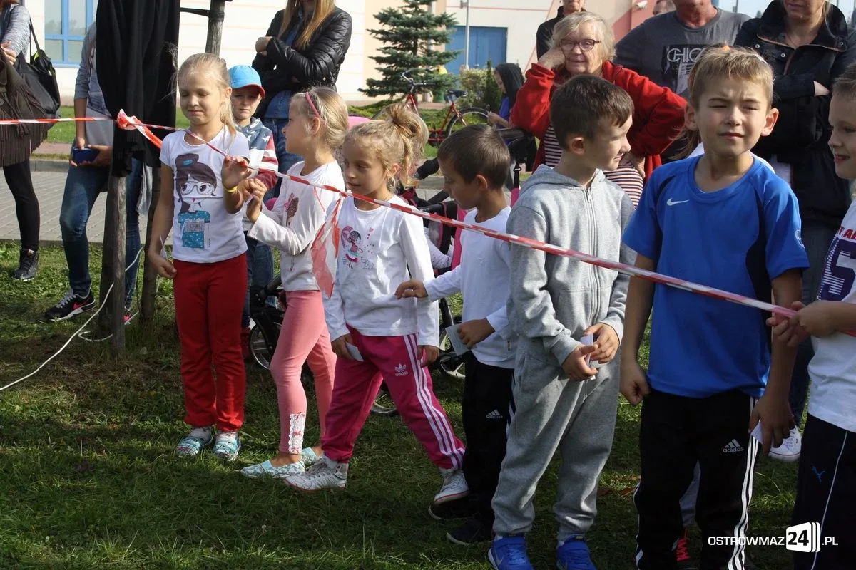 Mistrzostwa w biegach przełajowych (zdjęcia)