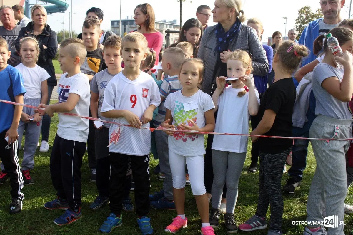 Mistrzostwa w biegach przełajowych (zdjęcia)