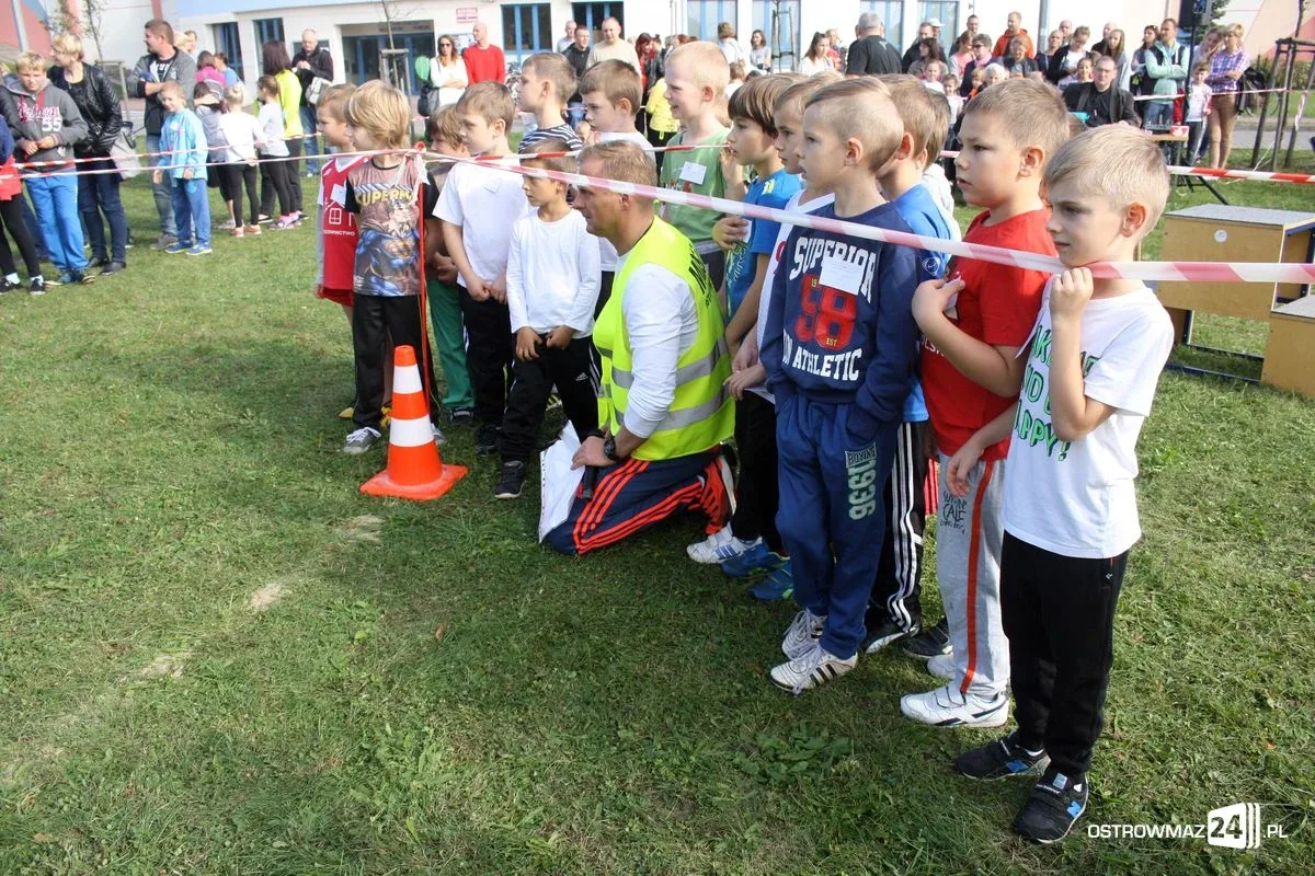 Mistrzostwa w biegach przełajowych (zdjęcia)