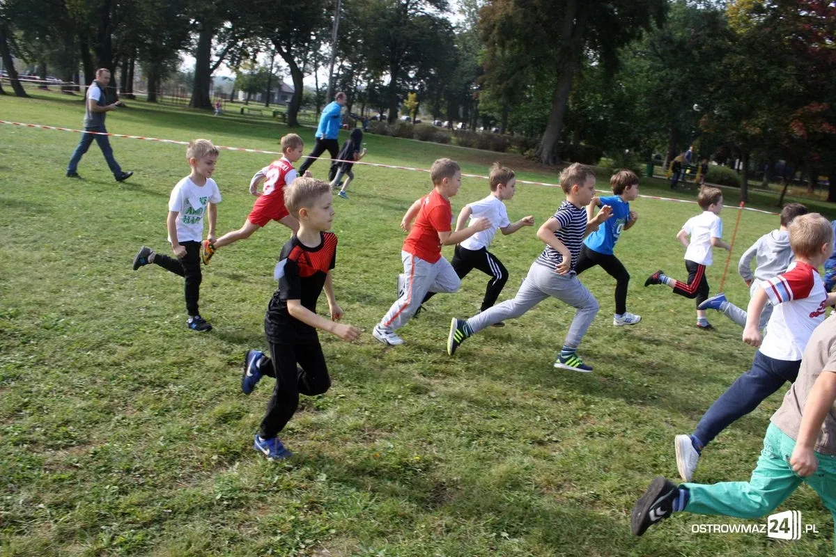 Mistrzostwa w biegach przełajowych (zdjęcia)