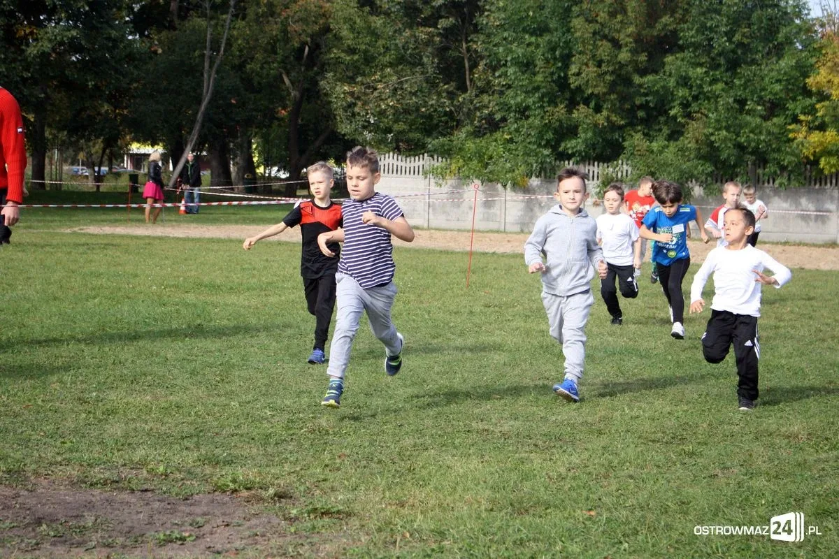 Mistrzostwa w biegach przełajowych (zdjęcia)