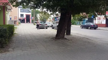 Poprzednie zdjęcie