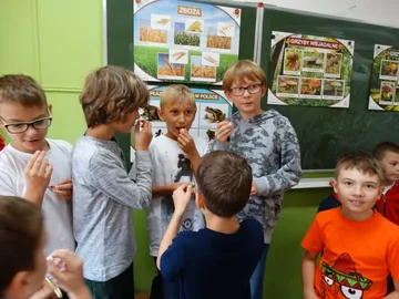 Następne zdjęcie