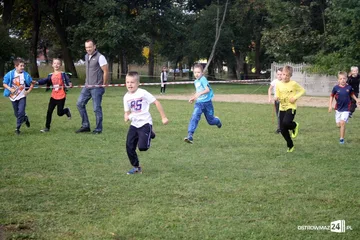 Następne zdjęcie