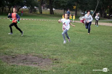 Następne zdjęcie