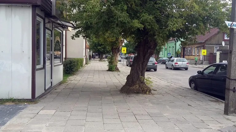 Skrzynka skarg: brak śmietnika przy ul. Batorego