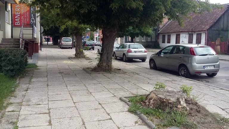 Skrzynka skarg: brak śmietnika przy ul. Batorego