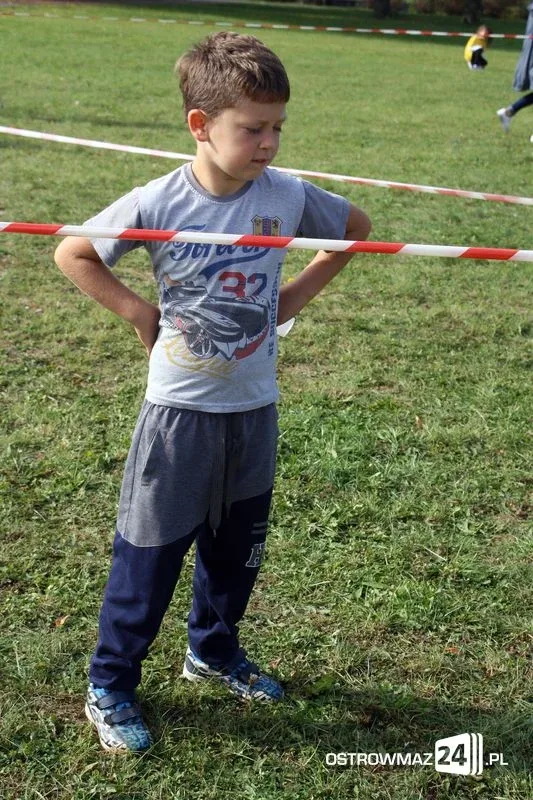 Mistrzostwa w biegach przełajowych (zdjęcia)